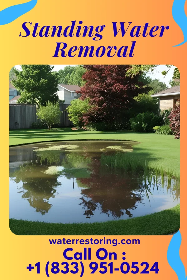 Standing Water Removal in Rockwell, AR
